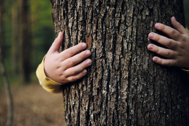 istock 6-7 years old cute child hugging tree and nature 1283031915