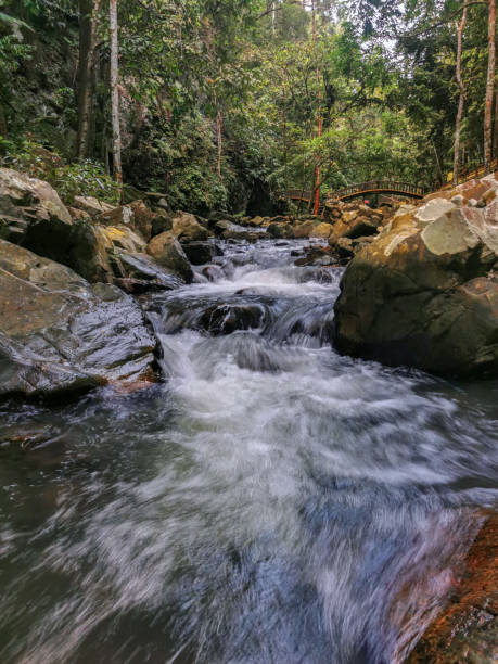 scena przyrodnicza z pięknymi wodospadami ukazującymi strumieniowanie wody przez szczeliny skalne w słoneczny dzień - natural phenomenon waterfall rock tranquil scene zdjęcia i obrazy z banku zdjęć