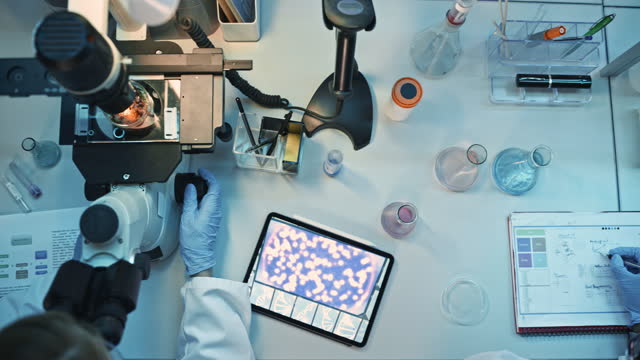 Above the Head Camera Footage of Medical Research Scientists in Blue Rubber Gloves Working Behind Tables in a Modern Laboratory. Doctors Using Test Tubes, Compare Samples, Use Tablet and Microscope.