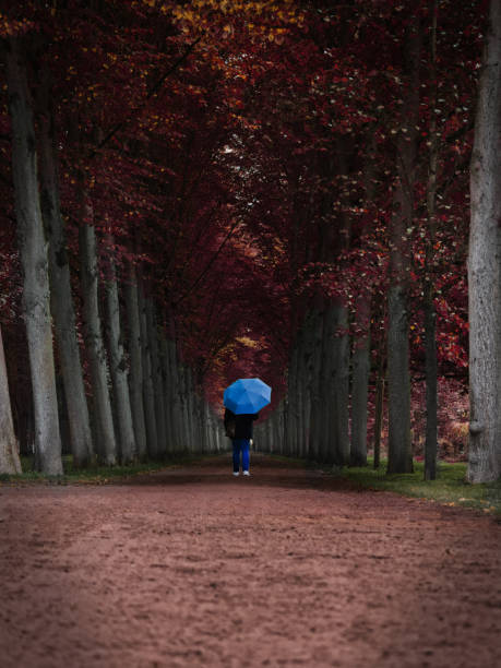 istock Umbrella in the avenue 1283038493