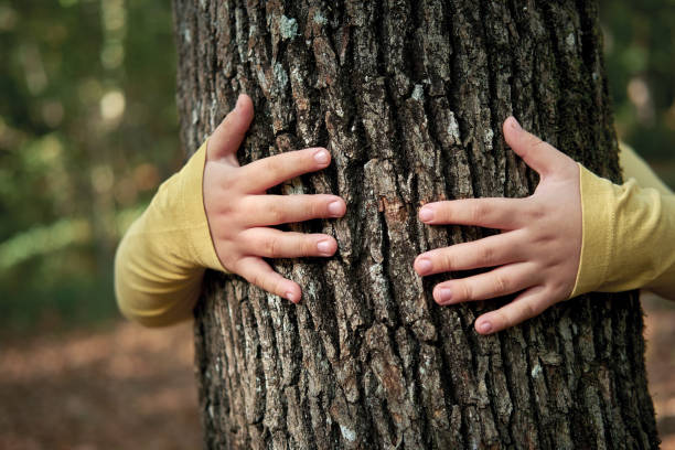 istock 6-7 years old cute child hugging tree and nature 1283038947
