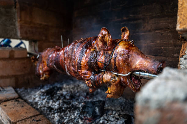serbian "pecenje" pig on a skewer turning over hot ash for an orthodox event called "slava" - roasted spit roasted roast pork barbecue grill imagens e fotografias de stock