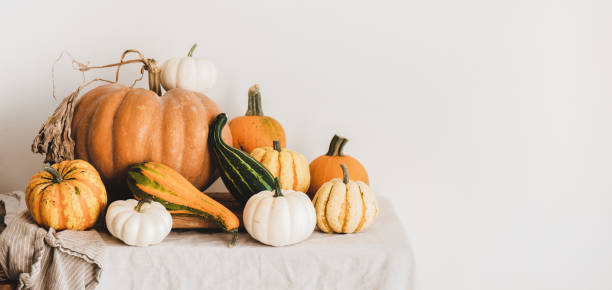 istock Colorful pumpkins of different shapes and sizes, wide composition 1283040337