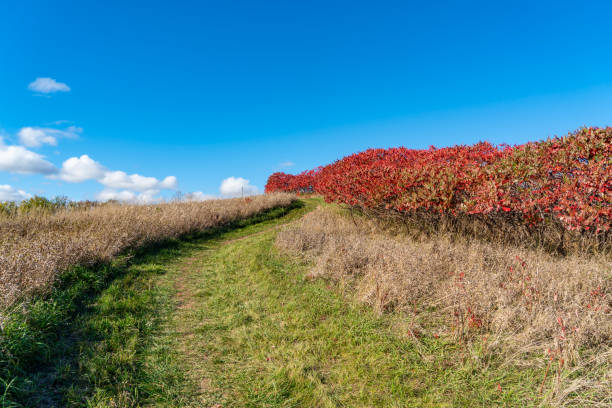 istock Bronte Creek Provincial Park in Autumn, Oakville, Canada 1283040633