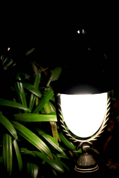 istock glowing lamp with reflection of light on green leaf's 1283042102