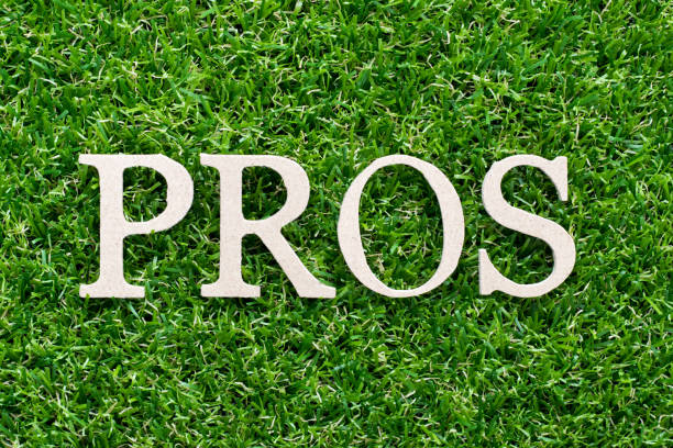 istock Wood alphabet in word pros on artificial green grass background 1283043210
