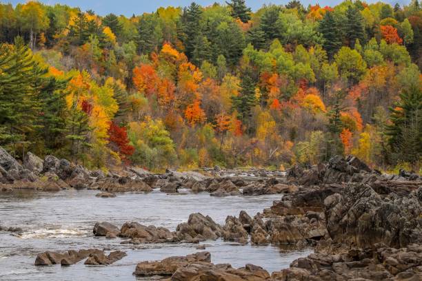 istock Autumn splender over flowing river rapids on the St Louis River 1283043479