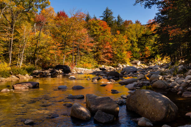 istock Along Kancamagus Highway in Autumn 1283043577