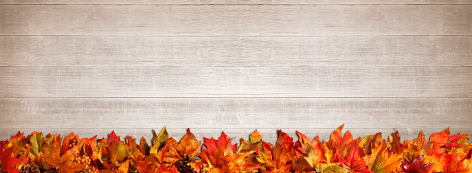 A Thanksgiving garland on a wood plank background.