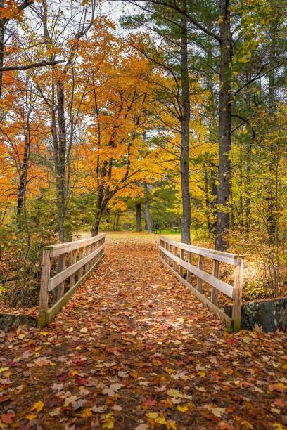istock Falling Autumn leaves on a bridge at Jay Cooke State Park in Carlton, Minnesota 1283044857