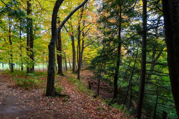 Bronte Creek Provincial Park in Autumn, Oakville, Canada