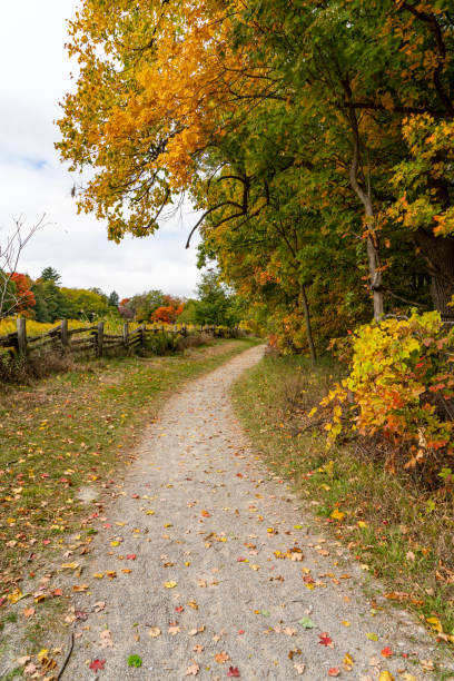 istock Bronte Creek Provincial Park in Autumn, Oakville, Canada 1283045576