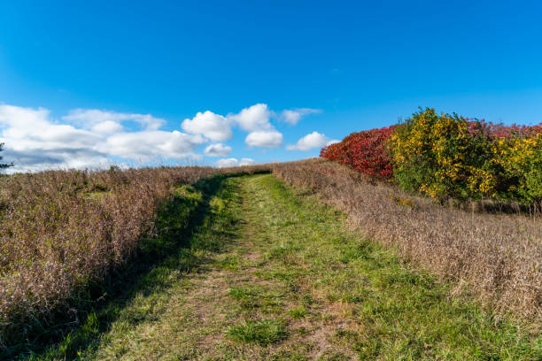 istock Bronte Creek Provincial Park in Autumn, Oakville, Canada 1283045882