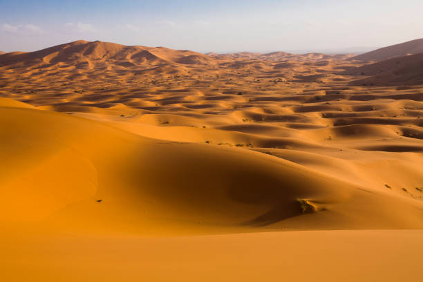 istock Golden light in the desert in Merzouga, Morocco 1283049549
