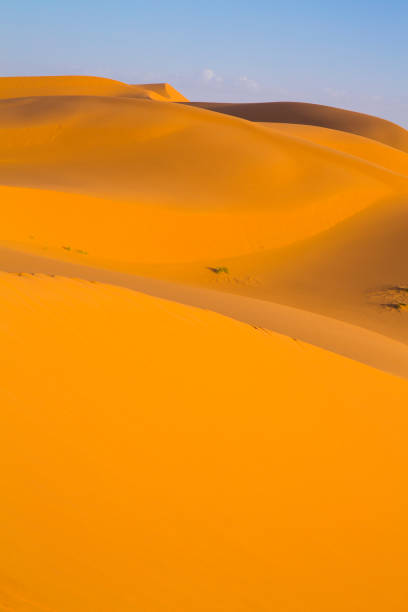 istock Golden light in the desert in Merzouga, Morocco 1283049551