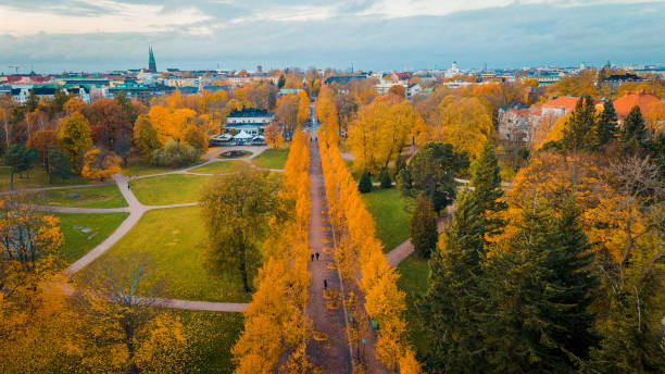 istock autumn park. road covered with autumn leaves 1283049814