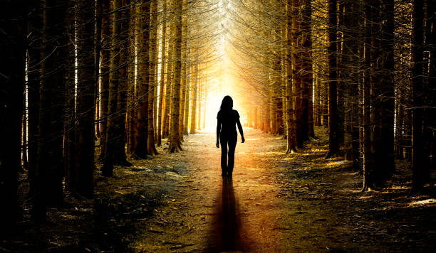 istock Woman on a forest path from dark to light 1283050037