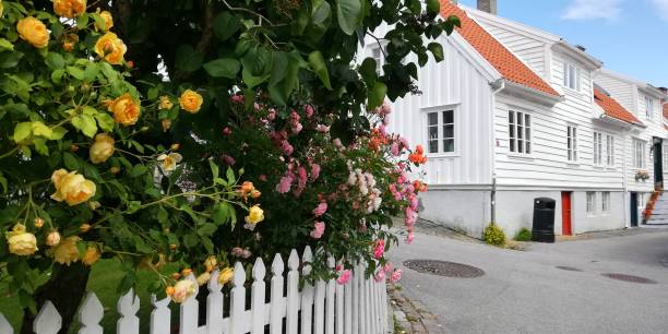 istock A colourful spring in Skudeneshavn, Norway 1283052446