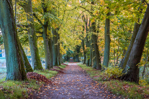 istock Autumn colors in the park 1283052862