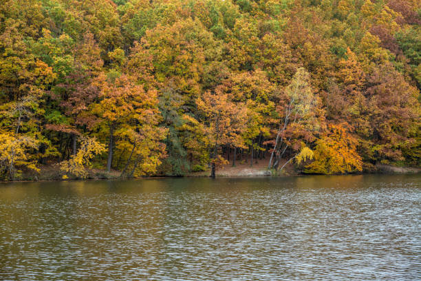 istock Autumn landscape with colorful forest and a lake 1283052942