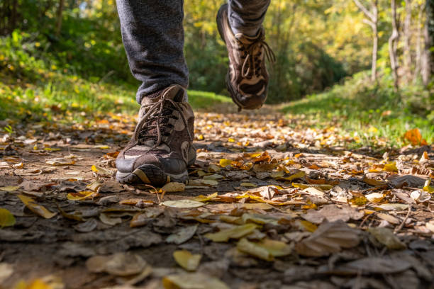 istock Legs Close Up stepping in the Forest 1283053768