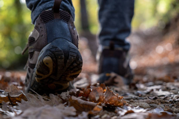 istock Legs Close Up stepping in the Forest 1283054195