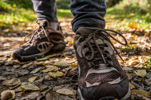 istock Legs Close Up stepping in the Forest 1283054805