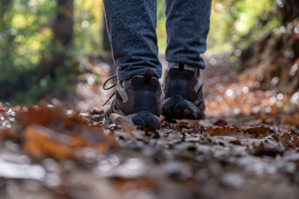 istock Legs Close Up stepping in the Forest 1283055057