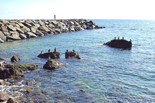 istock Montgat coastline, Barcelona Catalonia 1283055090