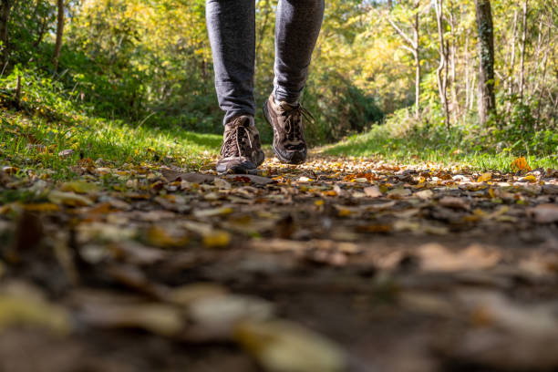 istock Legs Close Up stepping in the Forest 1283055309