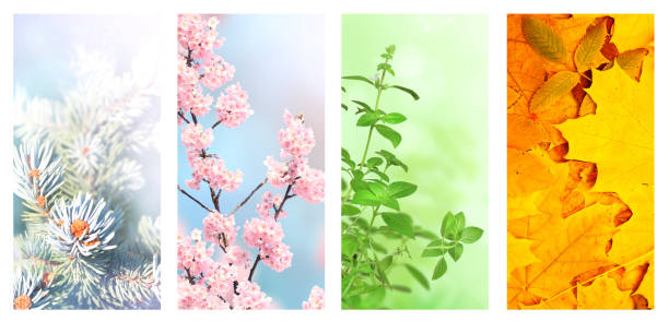 istock Four seasons of year 1283055601