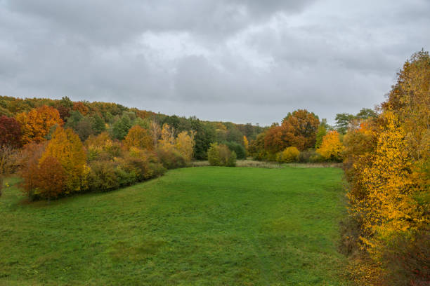 istock Yellow and orange trees in the fall on a meadow 1283055664