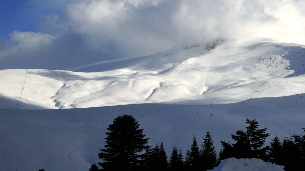 snowy landscape stock photo
