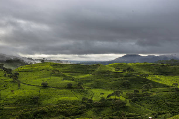 istock Beautiful morning in Cukul 1283066965