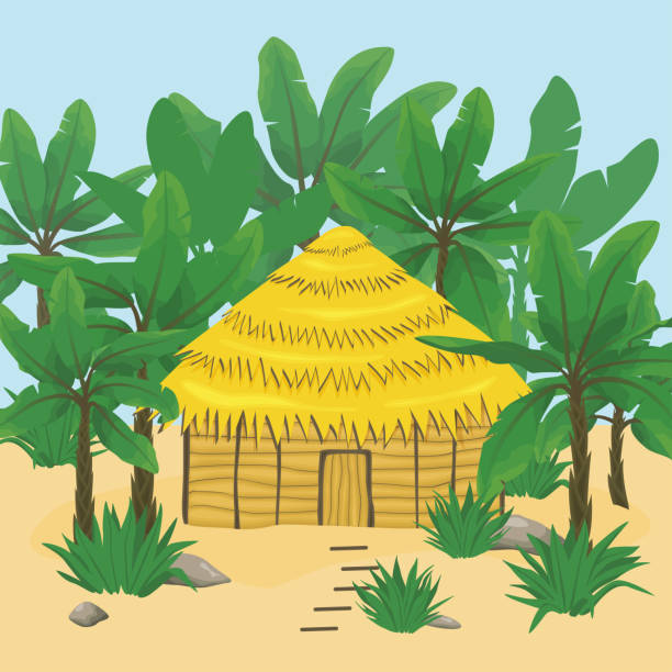 illustrazioni stock, clip art, cartoni animati e icone di tendenza di bungalow in un clima tropicale. spiaggia con palme e una capanna. - luxury hotel palm tree lush foliage asia