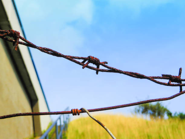 istock Barbed Wire in Front of blue Sky 1283071607