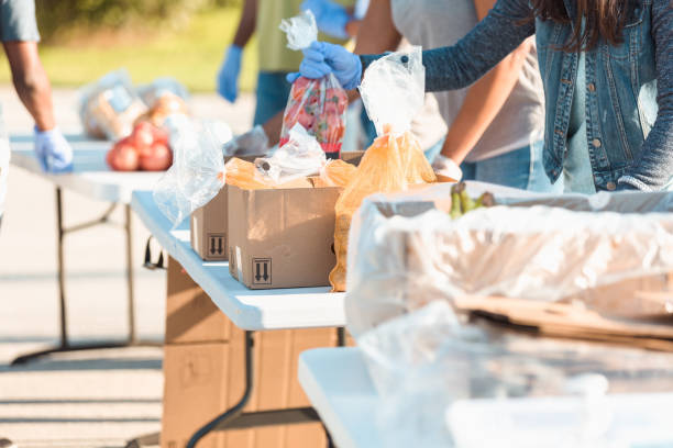 food bank volunteers sort out food donations - banco alimentar imagens e fotografias de stock