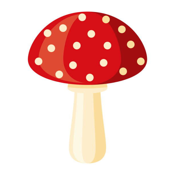 ikona grzyba na przezroczystym tle - grzybobranie stock illustrations