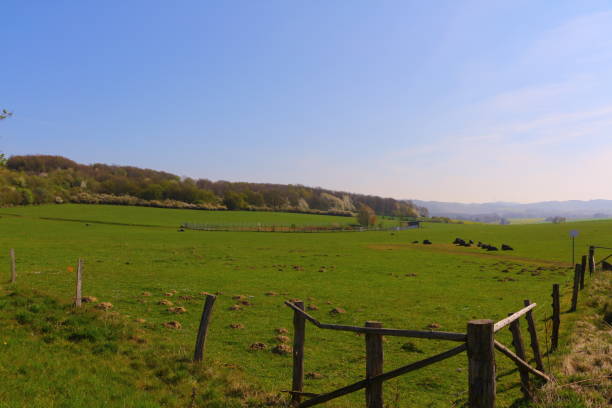 istock Spring in Hemer in the Sauerland 1283074121