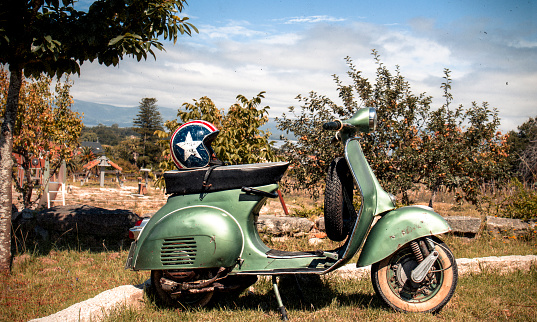 Vespa parked in an orchard