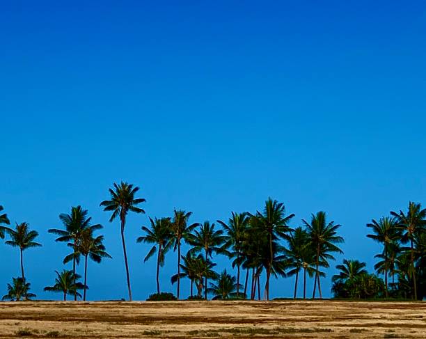 Scenes of Ko Olina, Hawaii