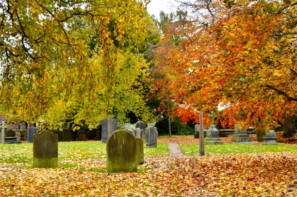 istock Autumn colours in cemetery 1283080338