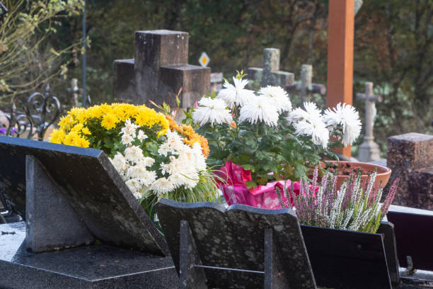 istock Chrysanthemum plants on tombstones 1283081473