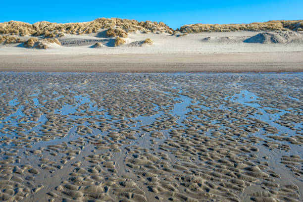 istock Dutch North Sea beach at low tide on a sunny winter day 1283082605