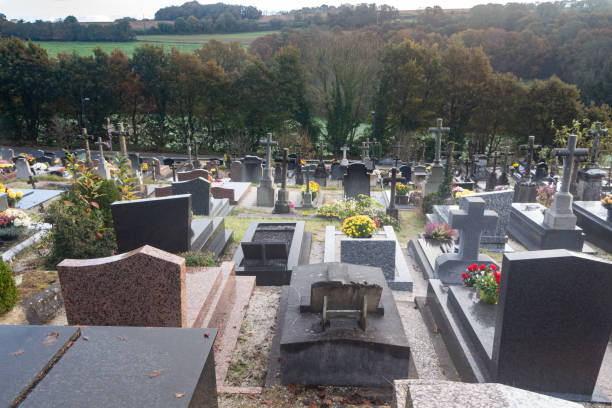 istock Chrysanthemum plants on tombstones 1283082618