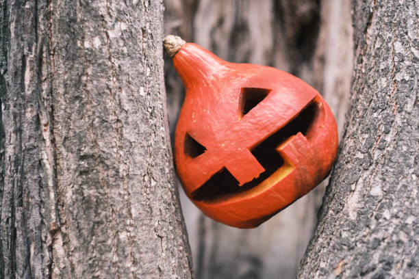 istock Jack-O-lantern in the hollow of the tree 1283087734