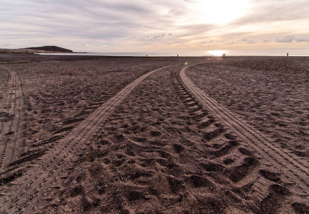 istock Wheel Tracks in the Sand 1283089376