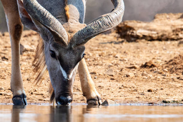 istock Relief on a Hot South African Afternoon 1283089684