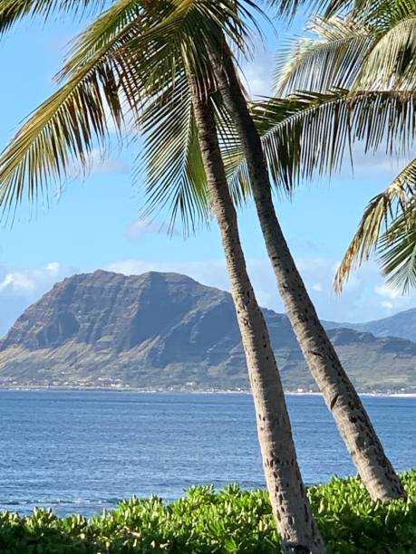 istock Tropical scenes of Hawaii 1283089798