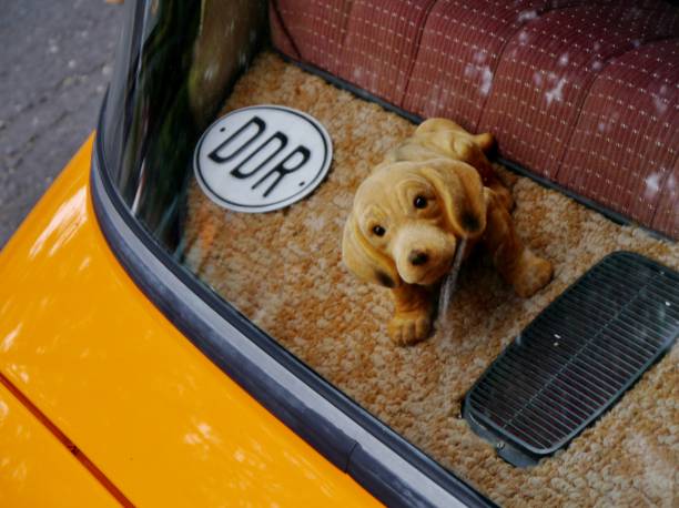 bobblehead dachshund, in german wackeldackel, on the parcel shelf in the car, a popular accessory in the 1970s, copy space, selected focus,